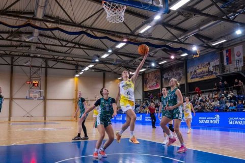 Piešťanské Čajky vs. ŠBK Šamorín