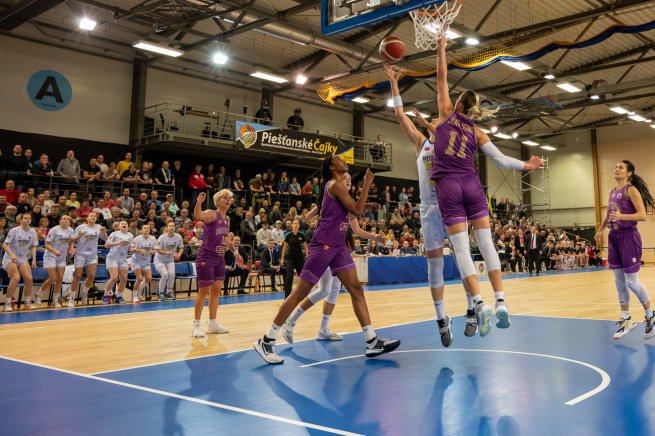 Piešťanské Čajky vs. Galatasaray Istyanbul (TUR) (Foto: Laco Duračka)